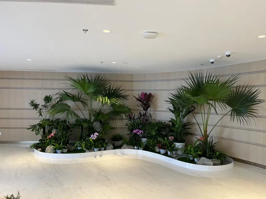 想美化环境？宁波杭州湾盆景租摆公司别错过